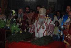 cvetnici1