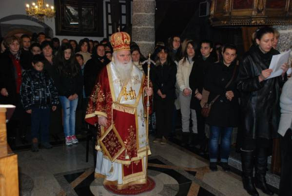 svgor2012 2