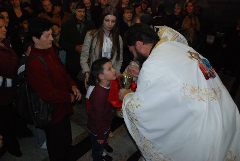 5NEDVELPO2013 14