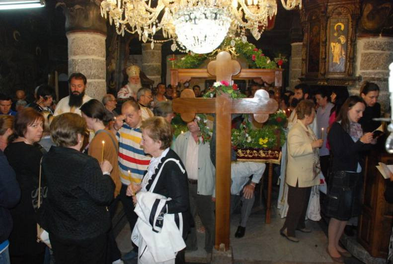 VELPETVEC2013 3