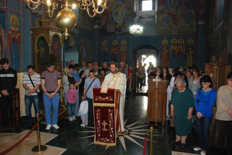 nedzenmir2013 4