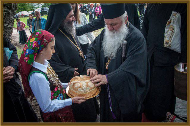 BITUSEOSV 1