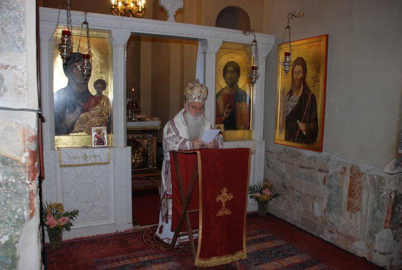 svavas2014 6