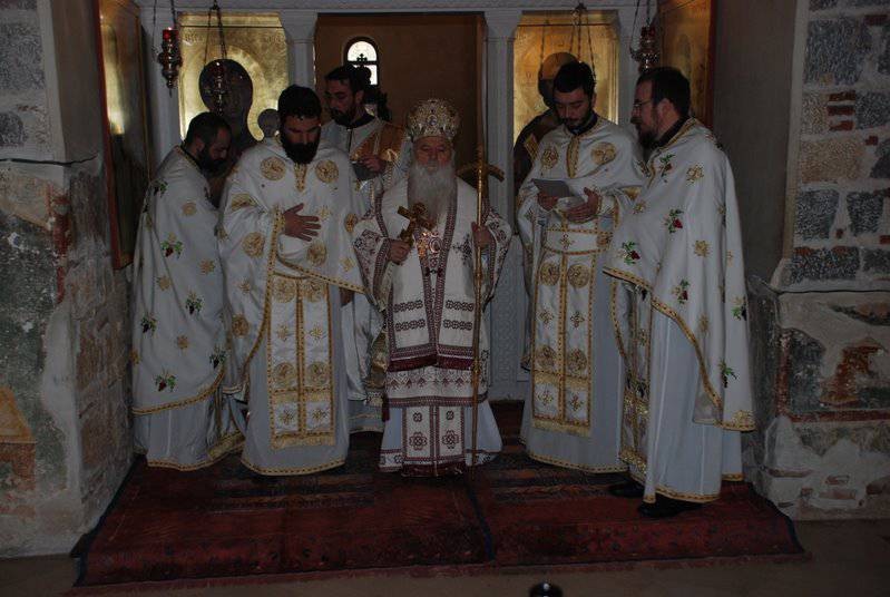 svavas2014 8