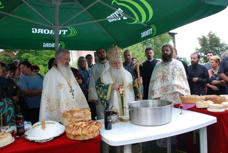 sverazm2014 33