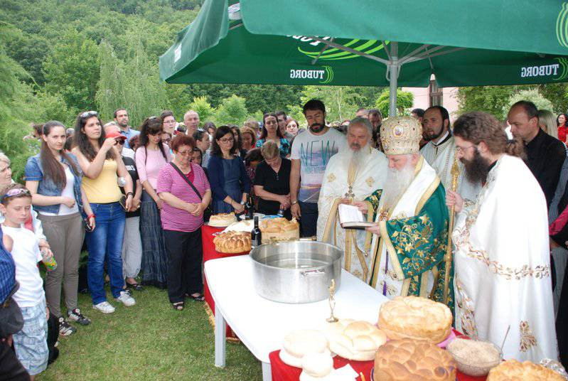sverazm2014 35