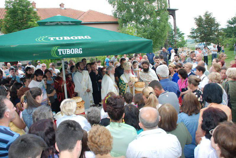 sverazm2014 37