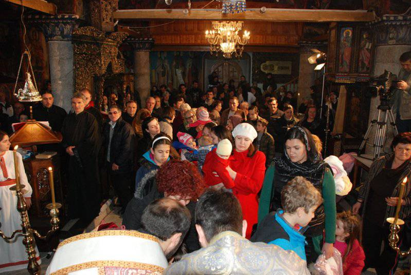 svharal2014 13