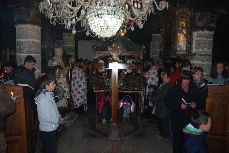 velpetvec2014 1