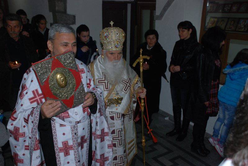 velpetvec2014 11