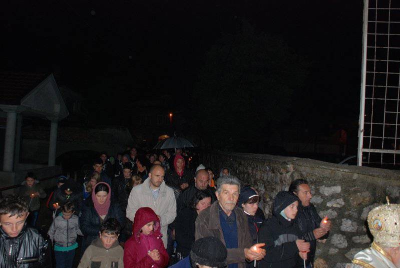velpetvec2014 3