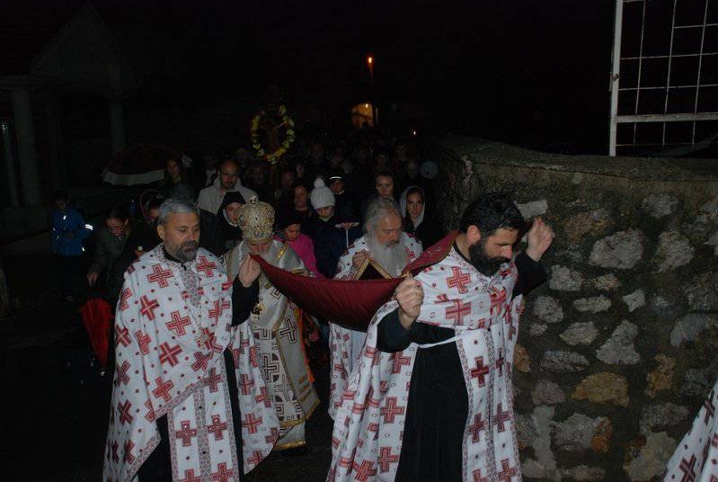 velpetvec2014 5