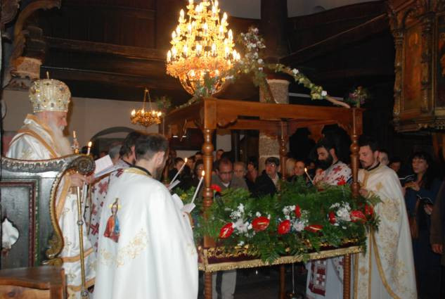 velpetvec2015 1