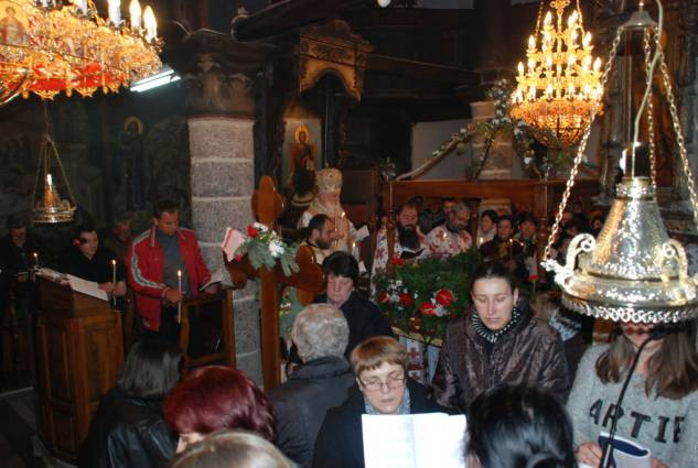 velpetvec2015 2
