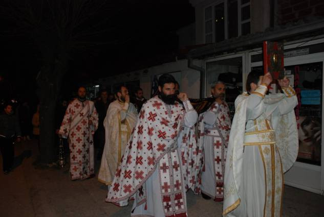 velpetvec2015 3