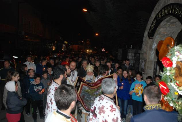 velpetvec2015 4