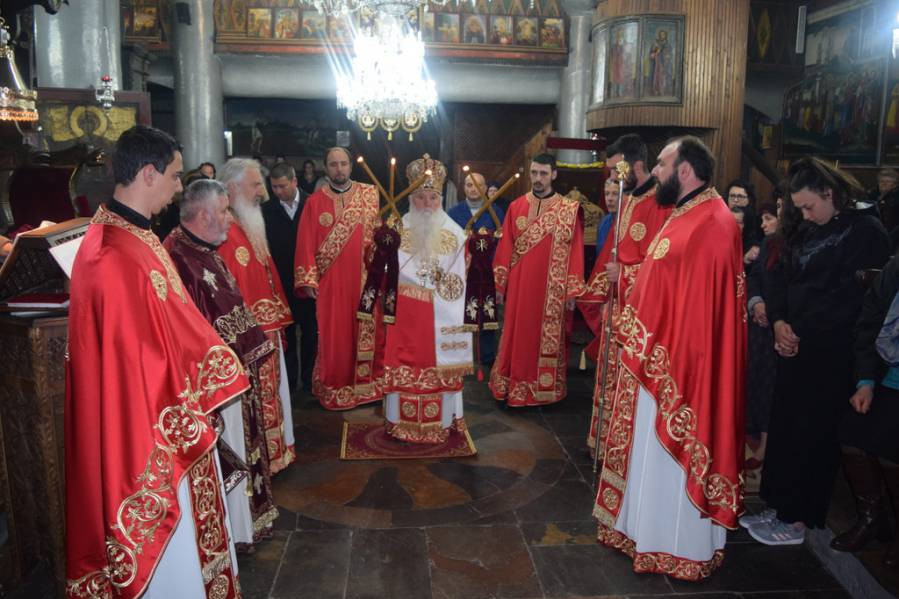 vtordvel2017 1