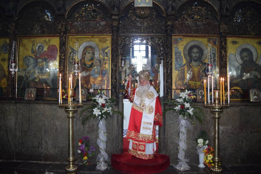 vtordvel2017 3