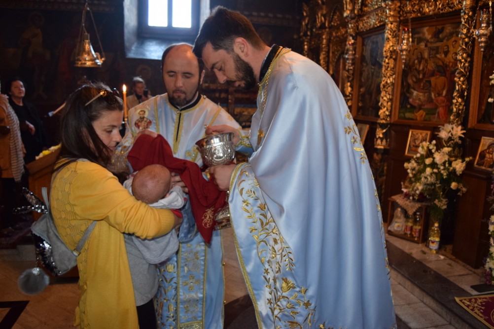 svetlipet2019 11