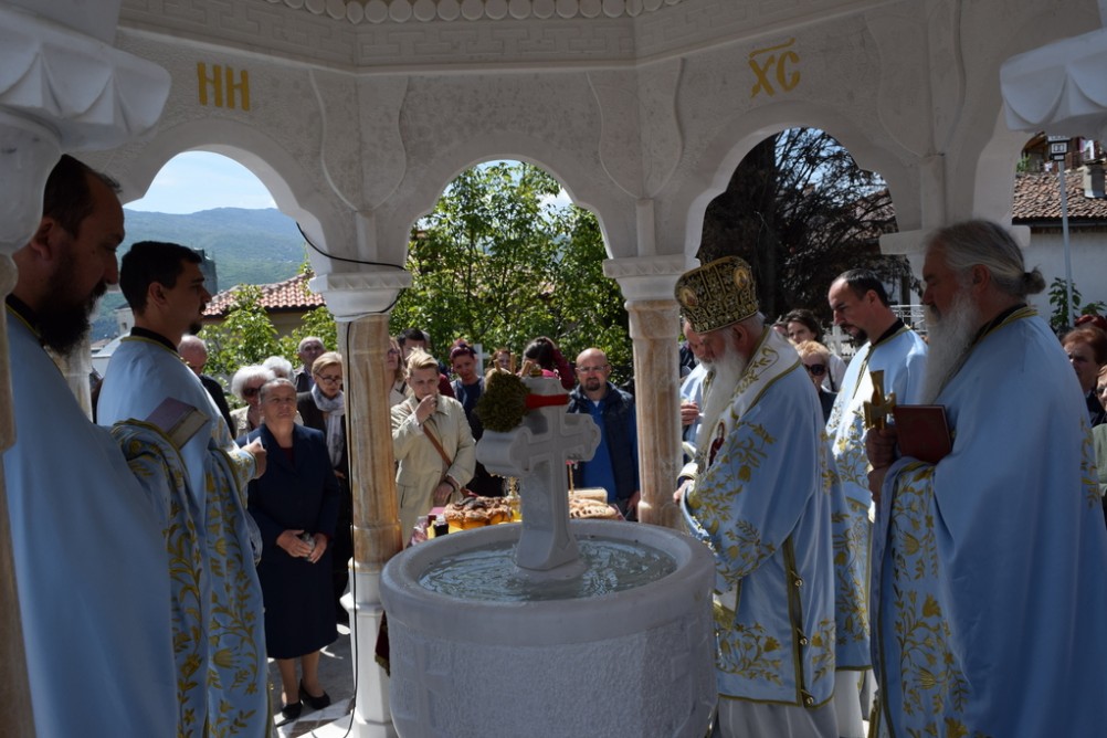 svetlipet2019 14