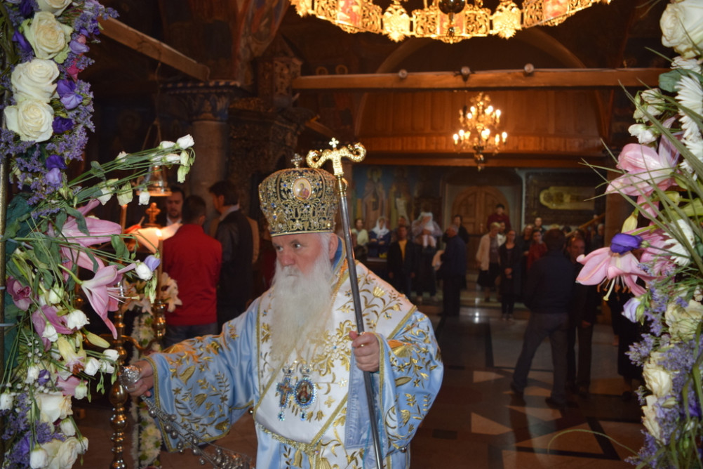 svetlipet2019 3