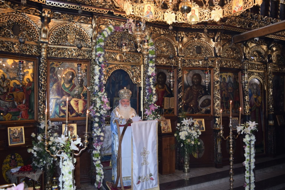 svetlipet2019 9