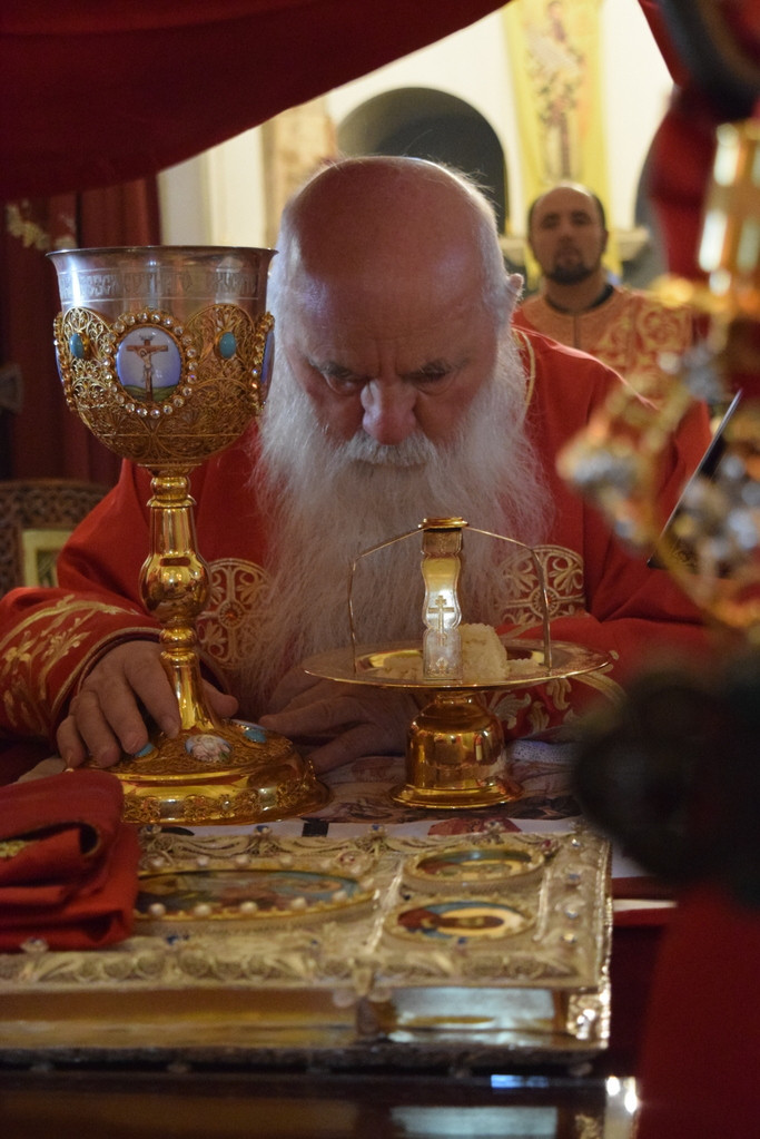 svklimzim2019 19