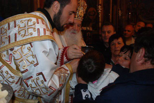 cvetnici2011 12