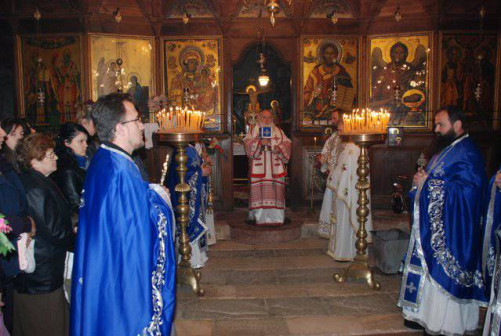 cvetnici2011 8