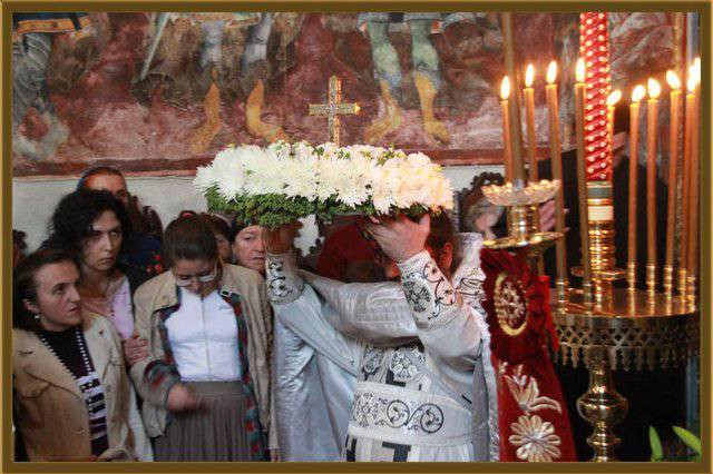 krstov2014 9