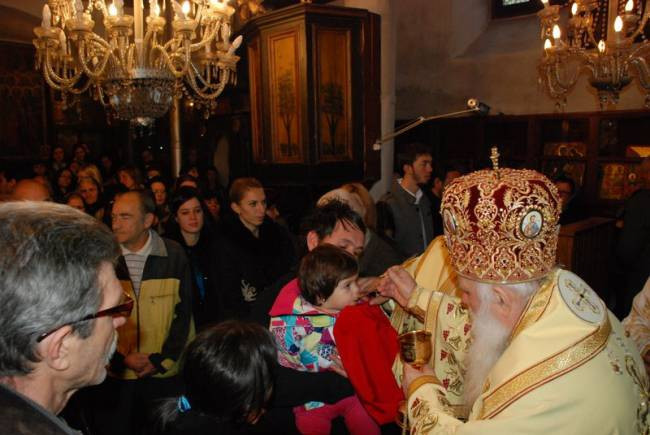 svnikzim2014 12
