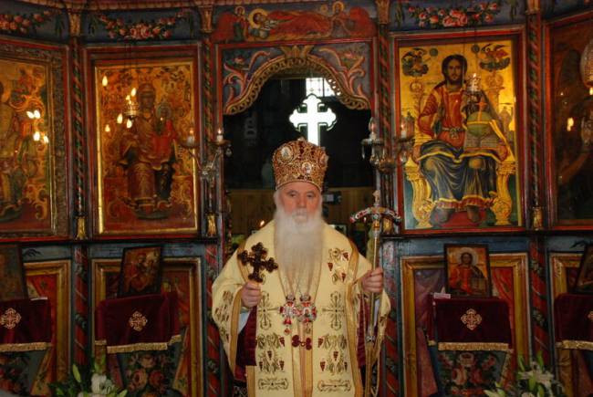 svnikzim2014 14