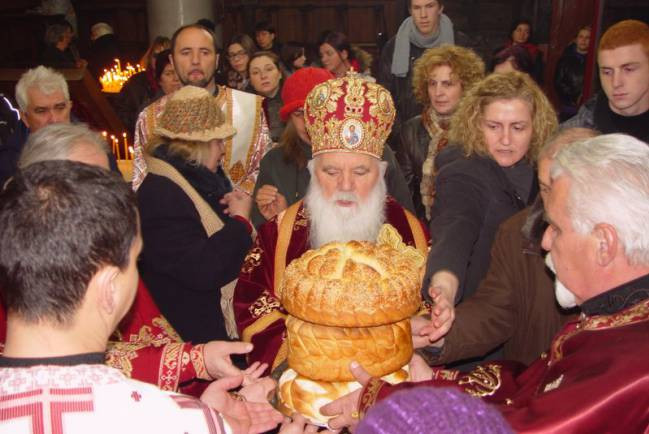 svstefzim2015 11 copy