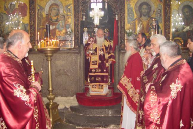svstefzim2015 3 copy